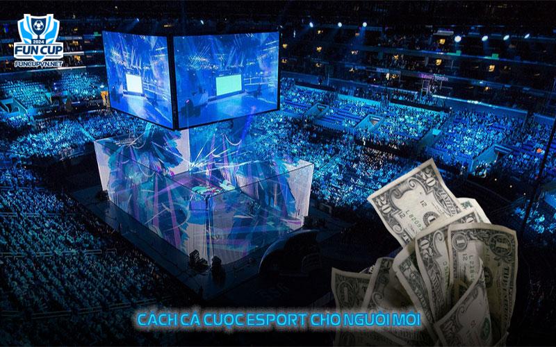 Hướng dẫn cá cược Esport dành cho người mới