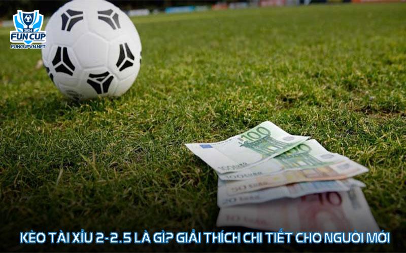 Kèo Tài Xỉu 2-2.5 Là Gì? Giải Thích Chi Tiết Cho Người Mới