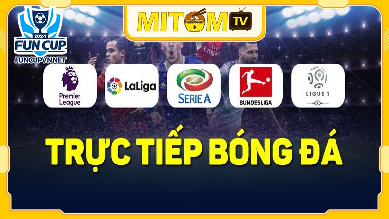 MitomTV - Truyền hình trực tiếp bóng đá chất lượng cao